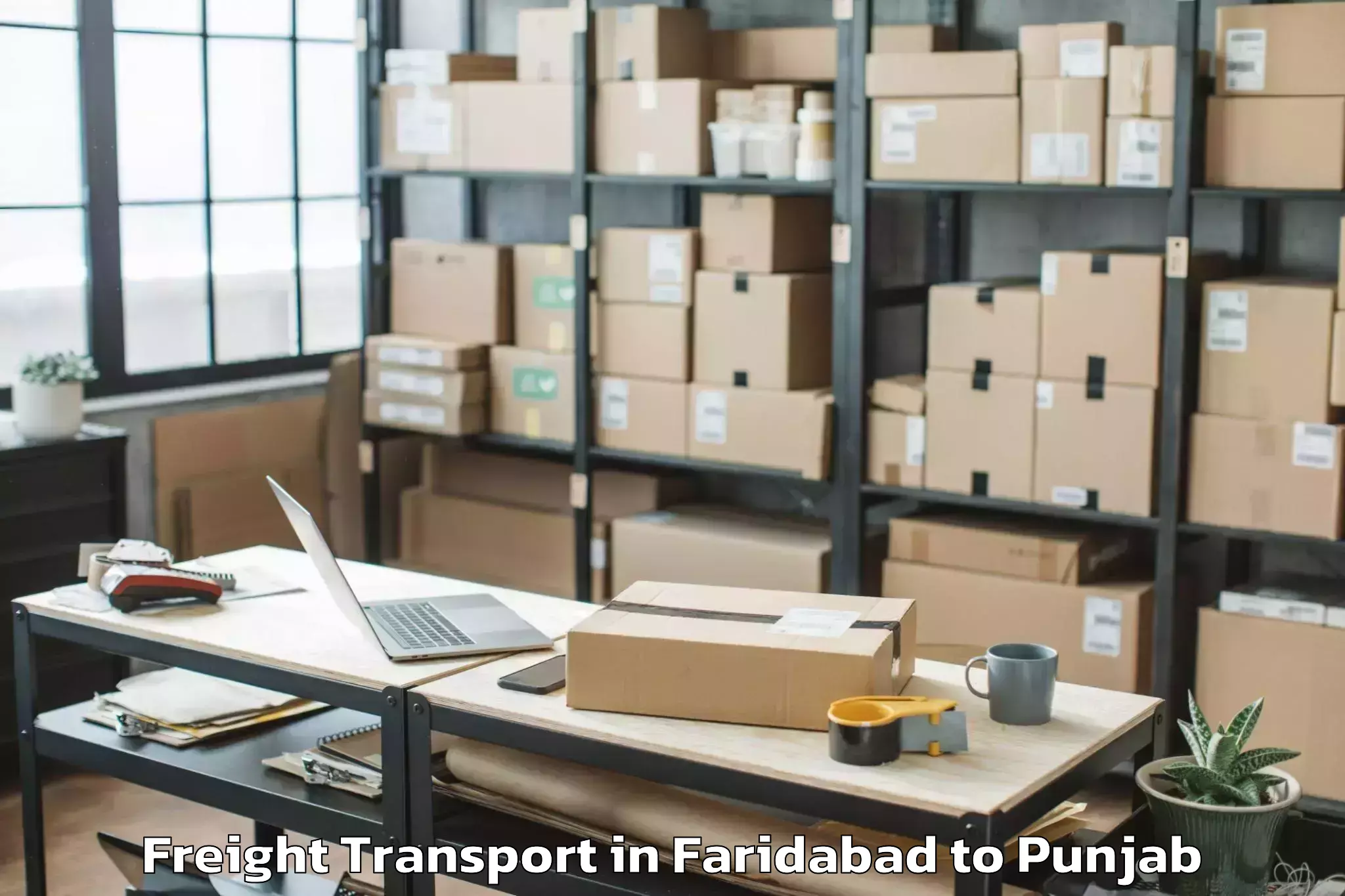 Book Faridabad to Bassi Pathana Freight Transport